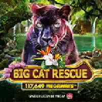 /upload/imgapi/redtiger/Big Cat Rescue Megaways.webp